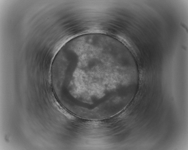 X0000102811236200809021151