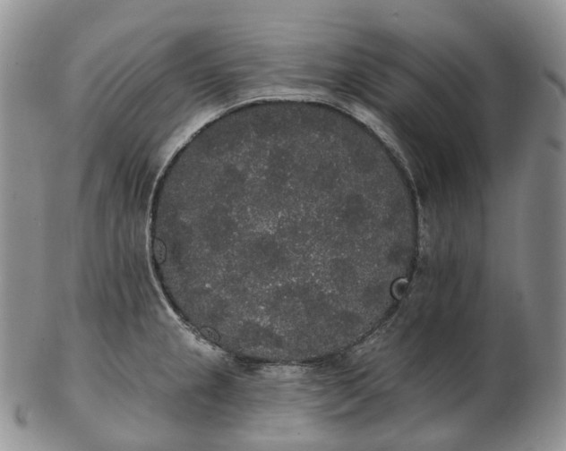 X0000102811237200809021151