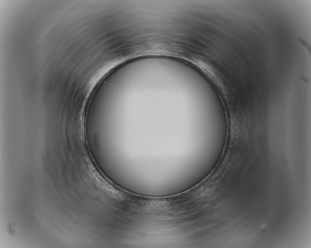 X0000102811238200809021151