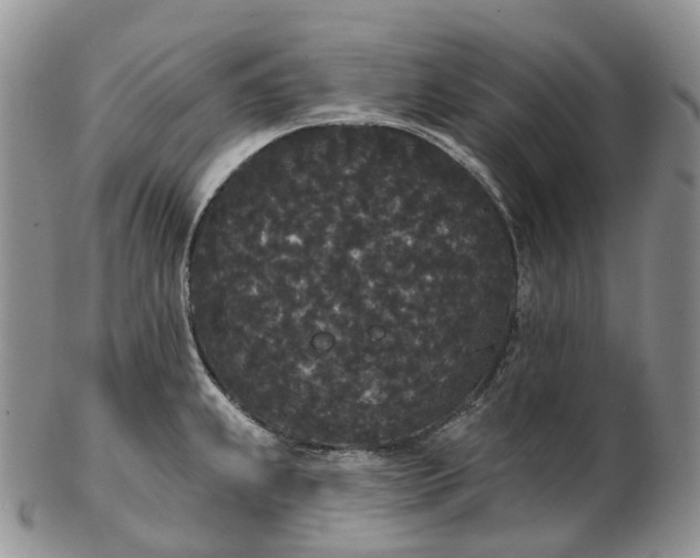 X0000102811239200809021152