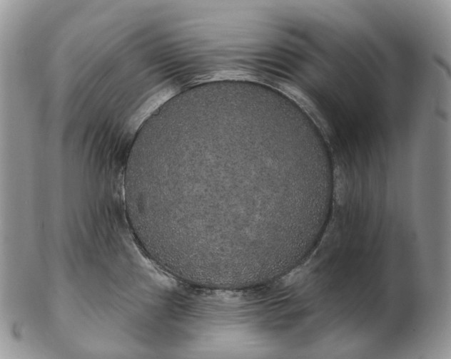 X0000102811241200809021152