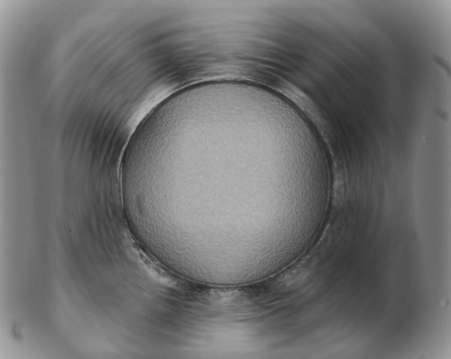 X0000102811242200809021152