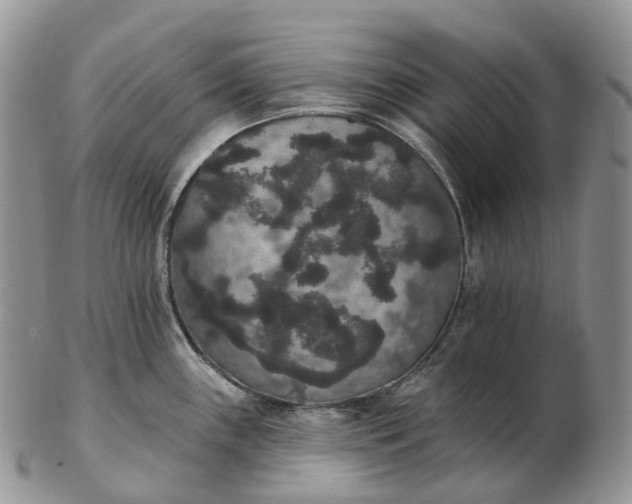 X0000102811243200809021152