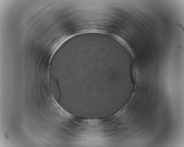 X0000102811244200809021152