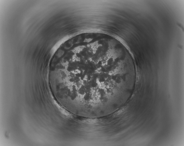 X0000102811245200809021152