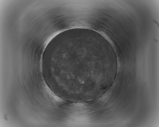 X0000102811246200809021152