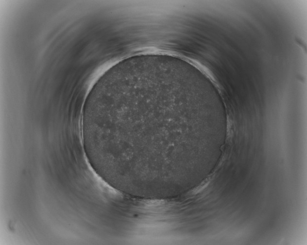 X0000102811247200809021152