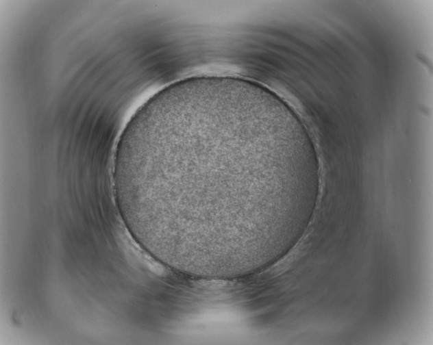 X0000102811248200809021152