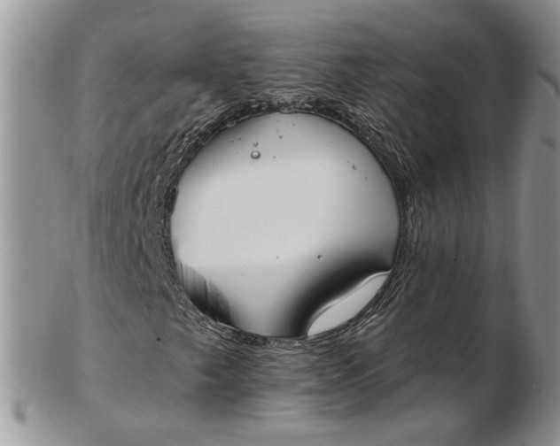 X0000102811249200809021151