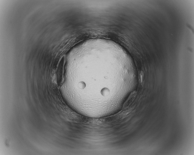 X0000102811251200809021151