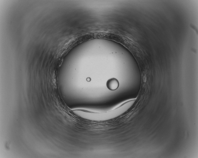 X0000102811252200809021151