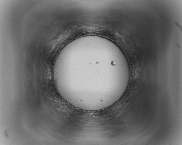 X0000102811253200809021151