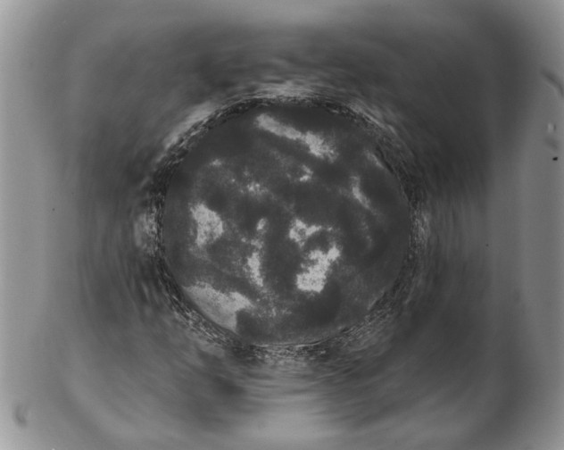 X0000102811254200809021151