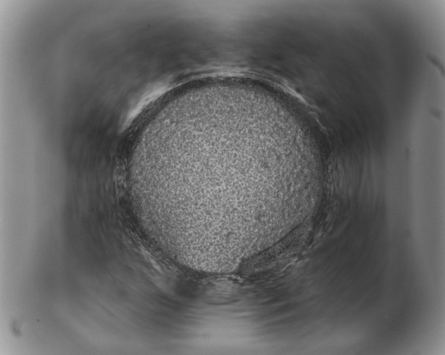 X0000102811255200809021151