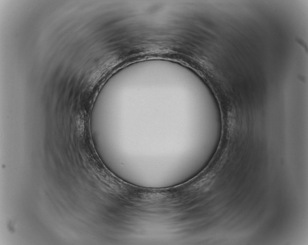 X0000102811257200809021151