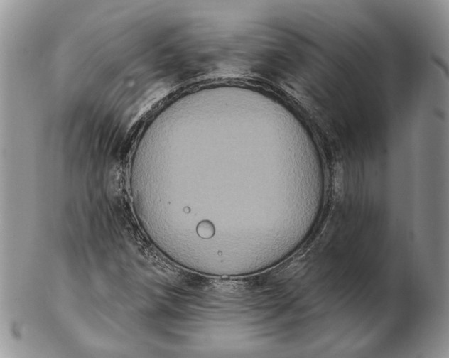 X0000102811258200809021151