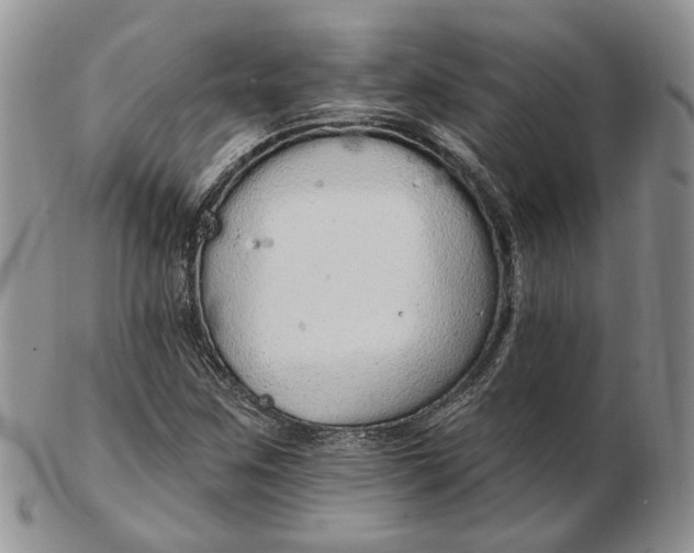 X0000102811259200809021151