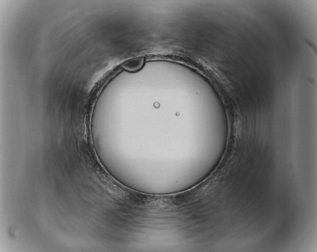 X0000102811262200809021151