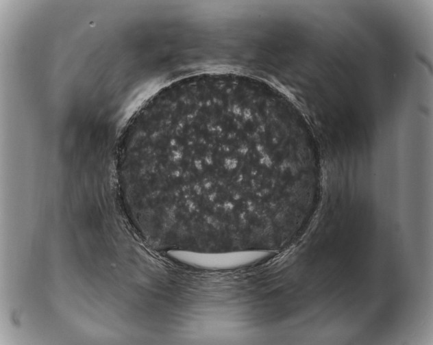 X0000102811263200809021151