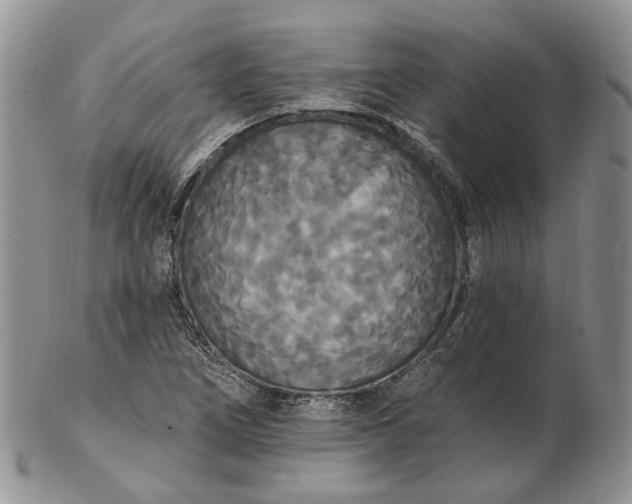 X0000102811266200809021151