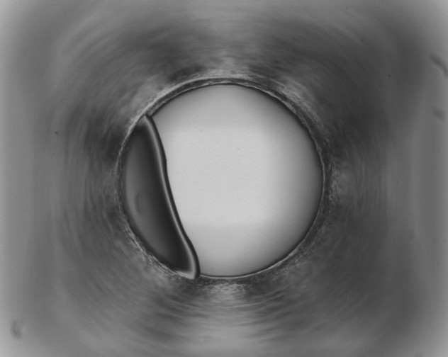 X0000102811268200809021151