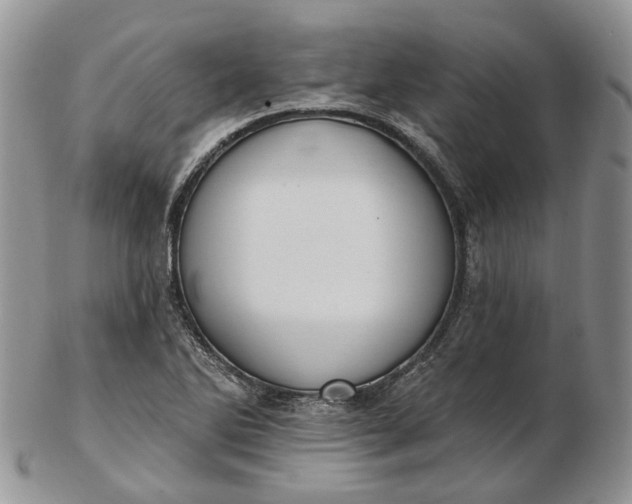 X0000102811270200809021151