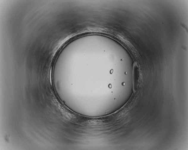 X0000102811272200809021151