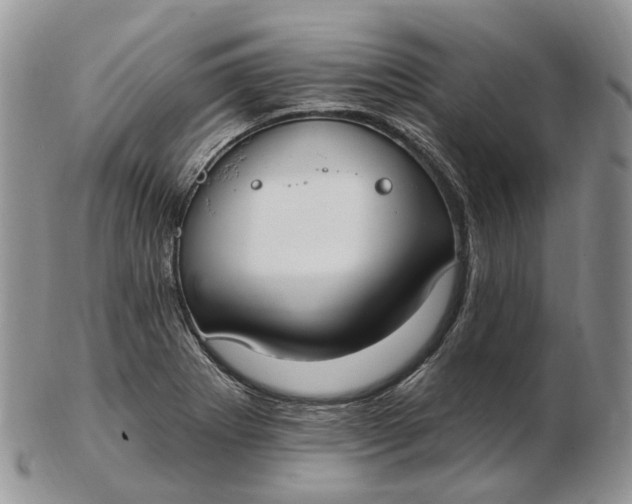 X0000102811273200809021151