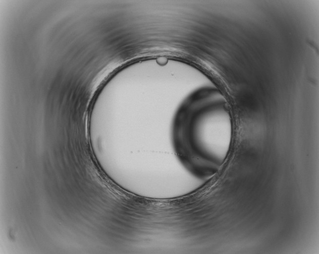 X0000102811275200809021151