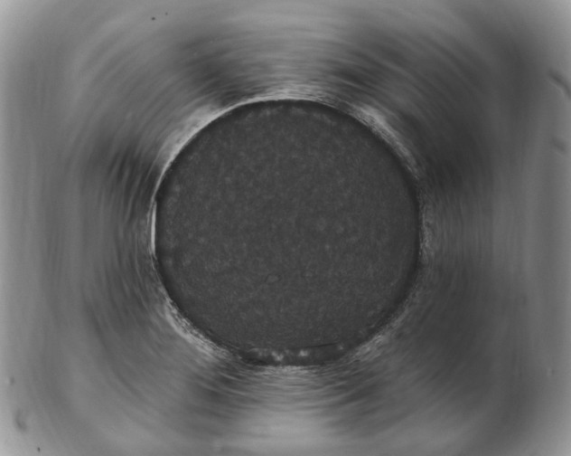 X0000102811276200809021151