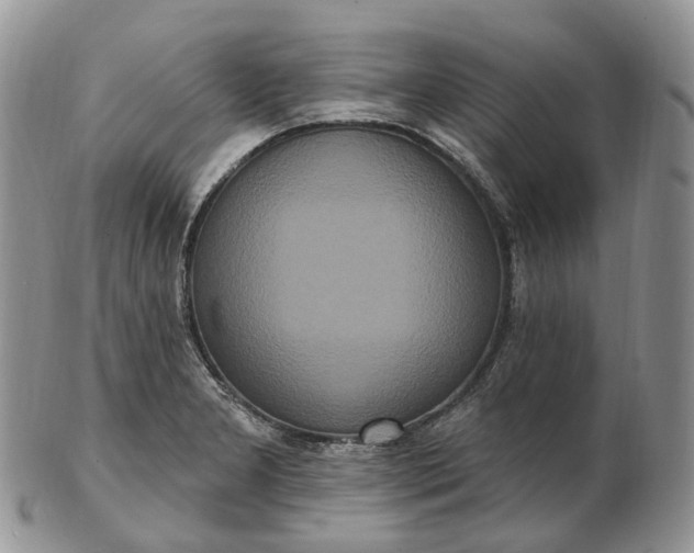 X0000102811277200809021151