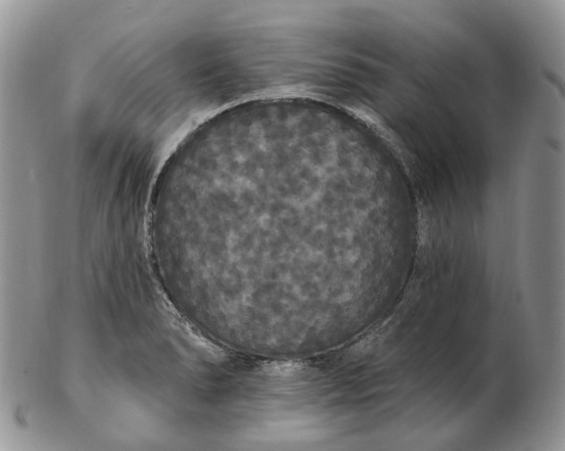 X0000102811278200809021151