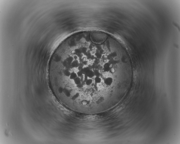 X0000102811279200809021151