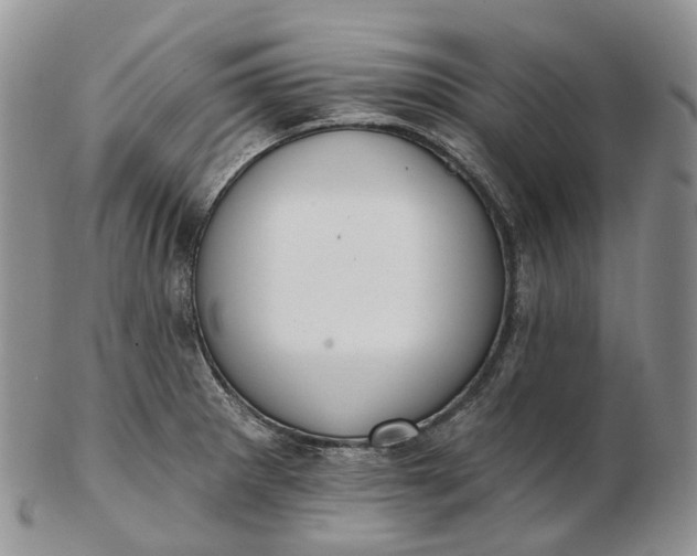 X0000102811281200809021151