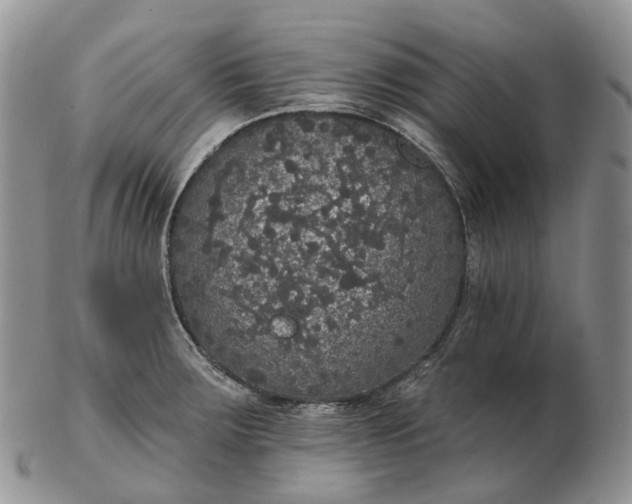 X0000102811283200809021150