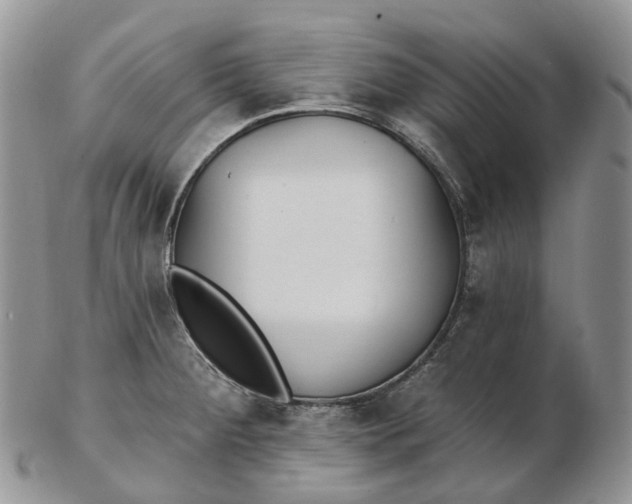 X0000102811284200809021150