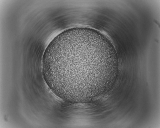 X0000102811287200809021150