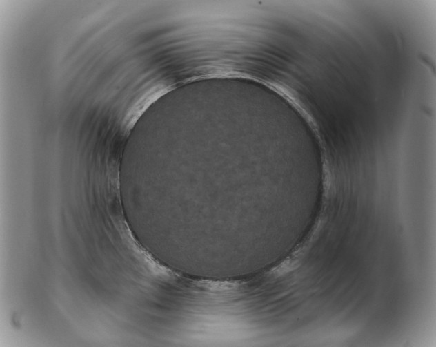 X0000102811289200809021150