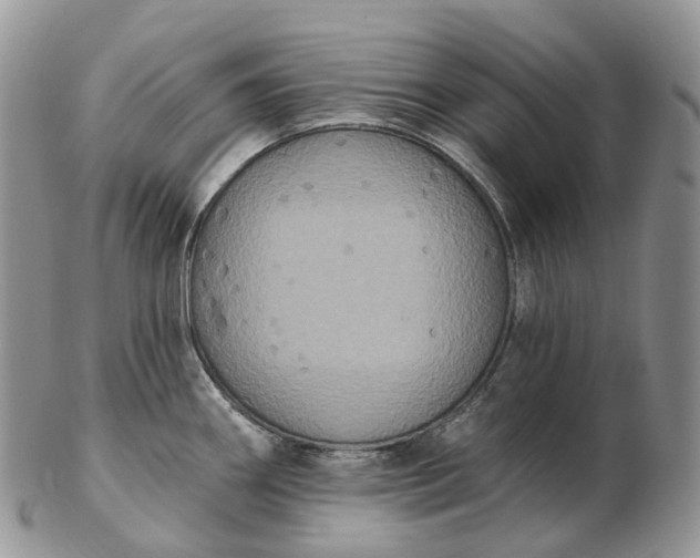 X0000102811290200809021150