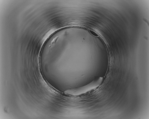 X0000102811291200809021150