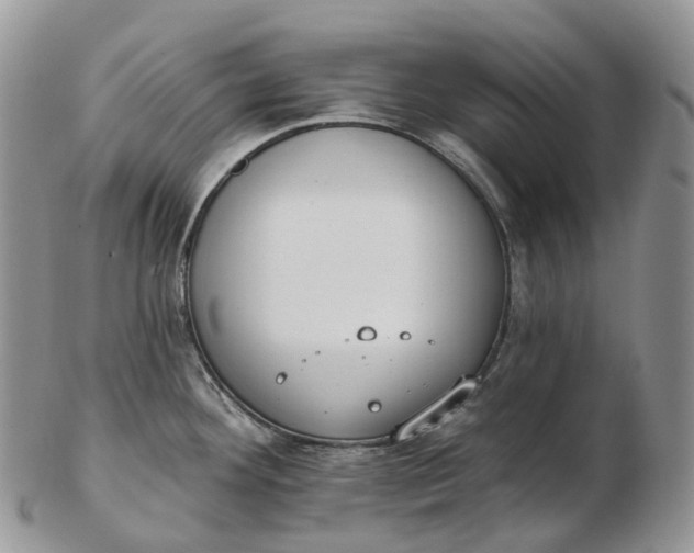 X0000102811292200809021150