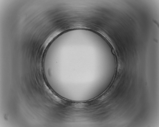 X0000102811293200809021150