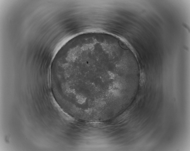 X0000102811295200809021150