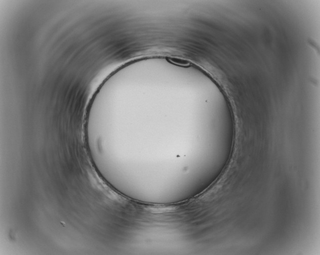 X0000102811296200809021150