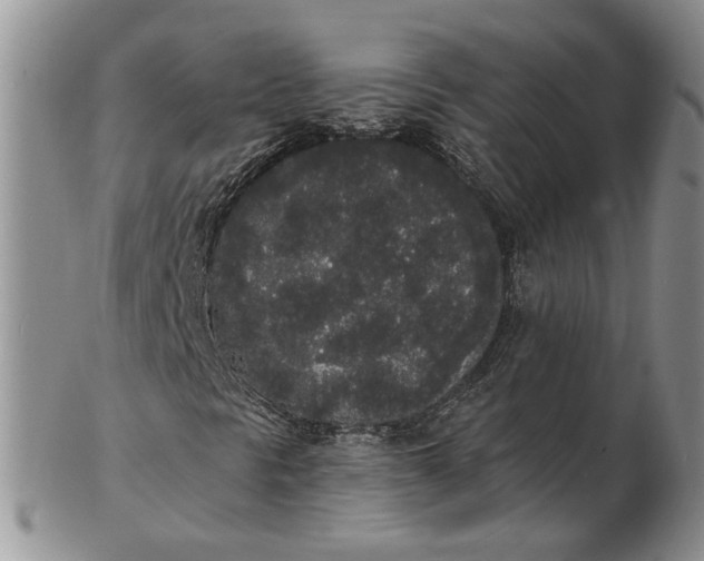 X0000102811297200809021150