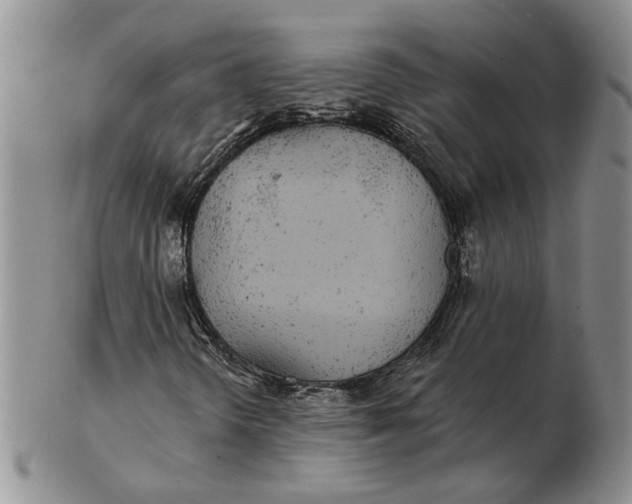 X0000102811298200809021150