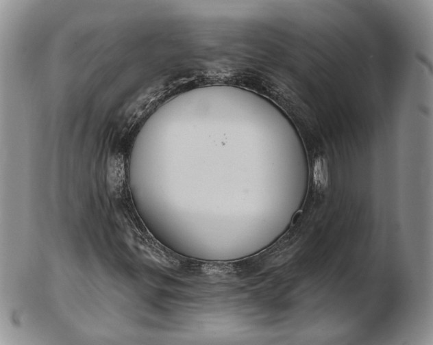 X0000102811299200809021150