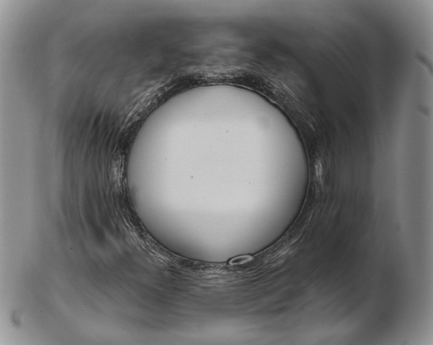 X0000102811300200809021150