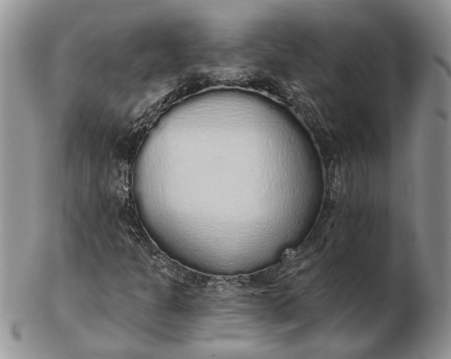 X0000102811301200809021150