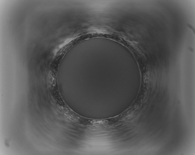 X0000102811303200809021150